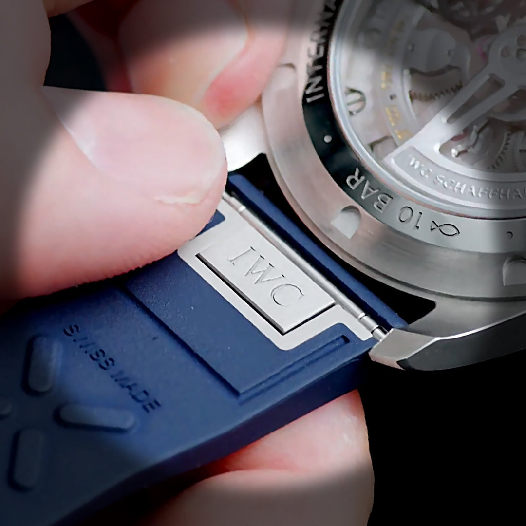 快拆錶帶更換系統之全貌觀